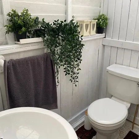 Luxury Tree Glamping Safari Tent Luxusní stan Killarney