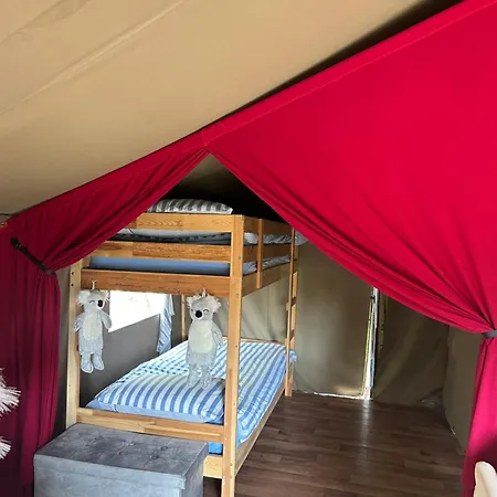 Luxury Tree Glamping Safari Tent Killarney