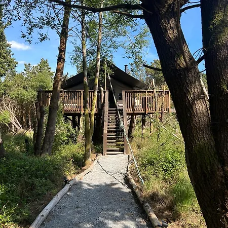 Luxury Tree Glamping Safari Tent Luxusní stan *
