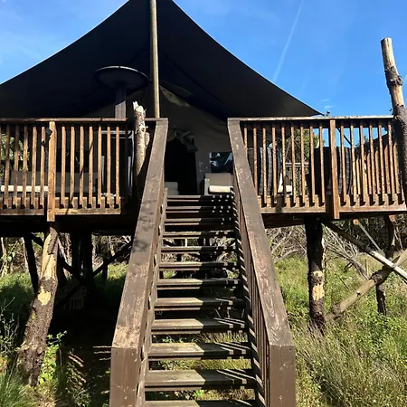 Luxury Tree Glamping Safari Tent Luxusní stan