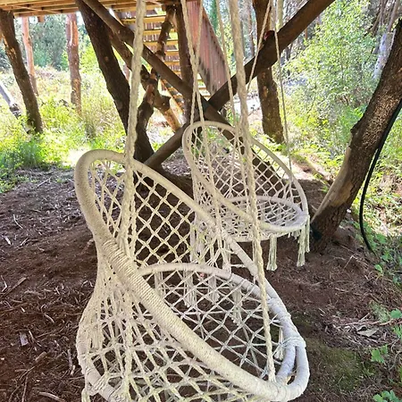 Luxury Tree Glamping Safari Tent خيمة فخمة كيلارني