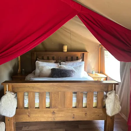 Luxury Tree Glamping Safari Tent خيمة فخمة