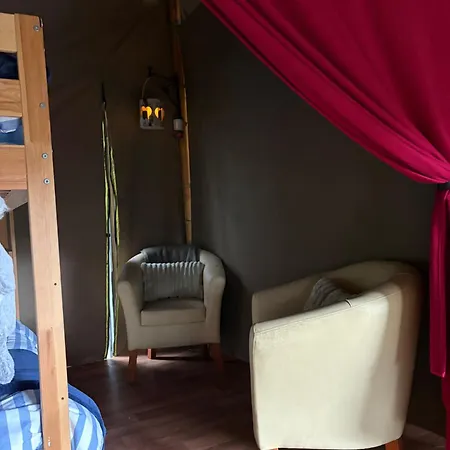 Luxury Tree Glamping Safari Tent خيمة فخمة *
