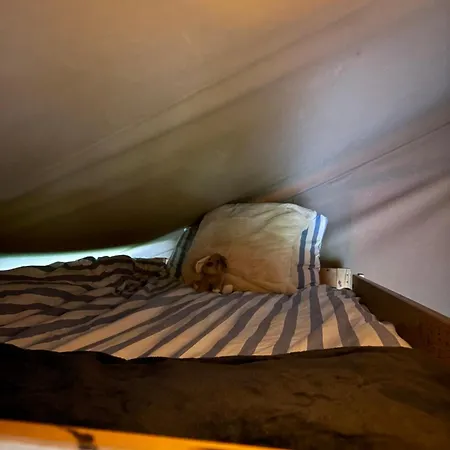 Luxury Tree Glamping Safari Tent خيمة فخمة كيلارني