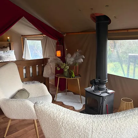 Luxury Tree Glamping Safari Tent